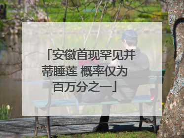 安徽首现罕见并蒂睡莲 概率仅为百万分之一